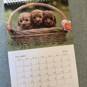 Calendario 2026 da parete