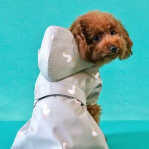 Mantellina DESENZANO